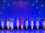 Dance Academy USA thumb 8